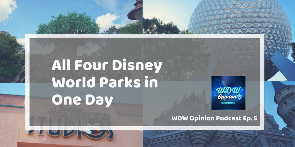WDW Opinion Ep. 5 - All Four Disney World Parks in One Day