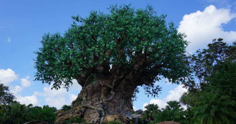 DISNEY MARCH MADNESS: THE TOP ANIMAL KINGDOM ATTRACTION - WDW OPINION EP. 78