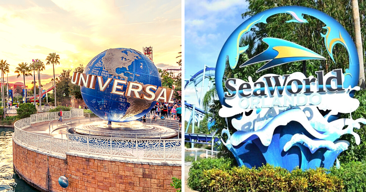 WHAT THE REOPENED ORLANDO THEME PARKS ARE LIKE - INTERVIEW WITH VINCENT OF VINCENTVISION - WDW OPINION EP. 88